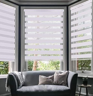 Zebra Blinds